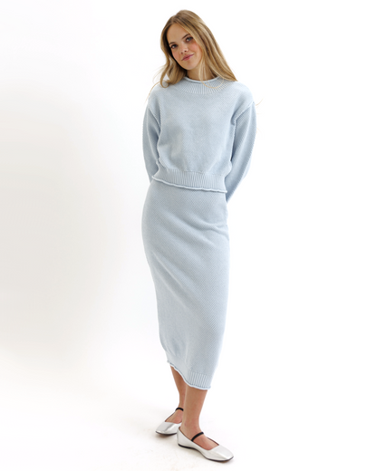 Carpe Diem Skirt - Final Sale