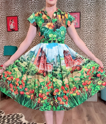 Bernie Dexter Multicolor Farm Harvest Print Swing Dress